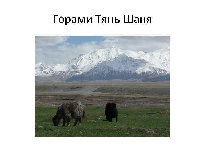 Горами Тянь Шаня 
