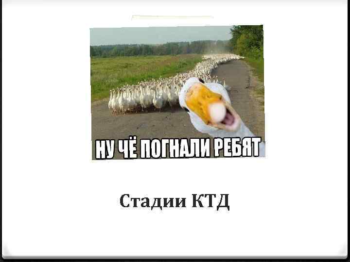 Стадии КТД 