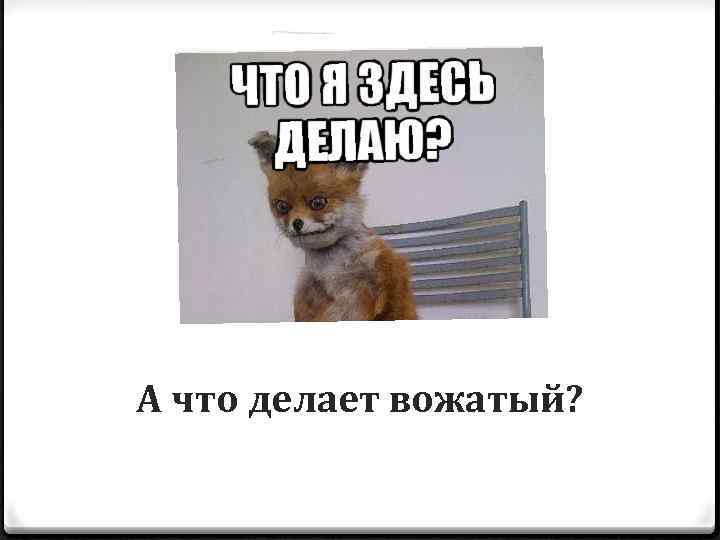 А что делает вожатый? 