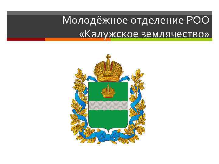 Молодёжное отделение РОО «Калужское землячество» 