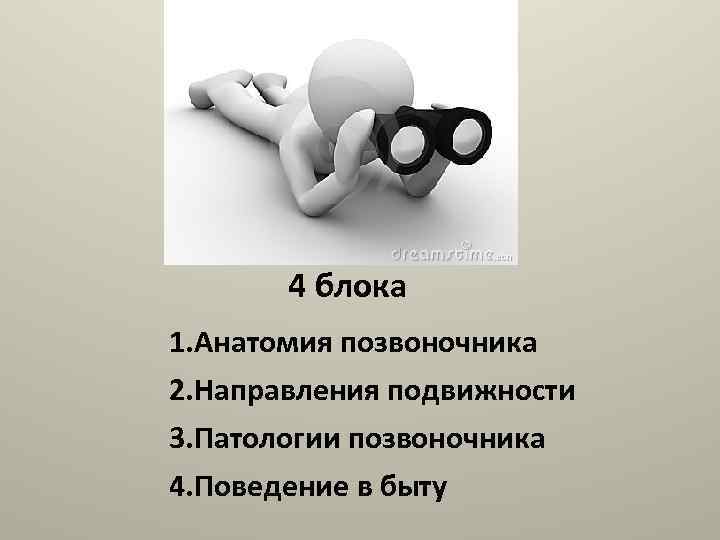 4 блока 1. Анатомия позвоночника 2. Направления подвижности 3. Патологии позвоночника 4. Поведение в
