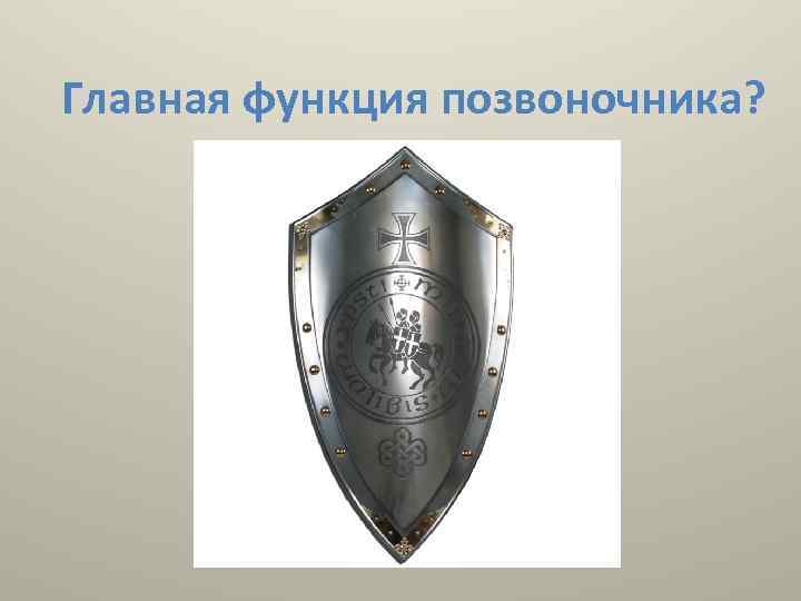 Главная функция позвоночника? 