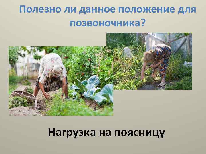 Полезно ли данное положение для позвоночника? Нагрузка на поясницу 