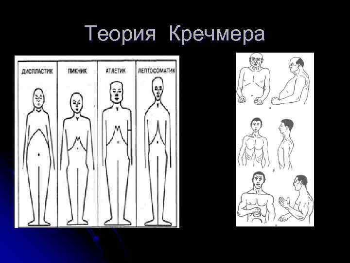 Как согласно типологии э кречмера называется тип строения тела человека на рисунке ниже