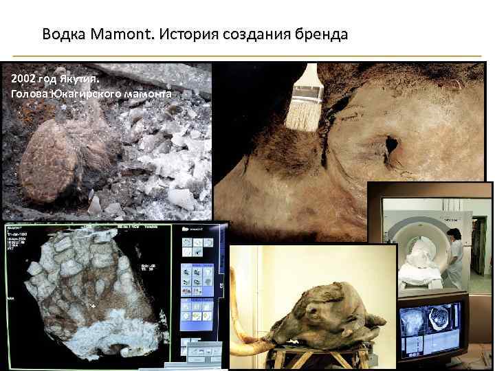 Водка Mamont. История создания бренда 2002 год Якутия. Голова Юкагирского мамонта 