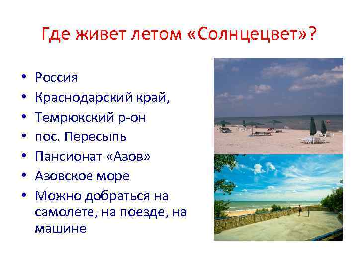 Где живет летом «Солнцецвет» ? • • Россия Краснодарский край, Темрюкский р-он пос. Пересыпь