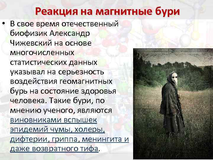 Реакция на магнитные бури • В свое время отечественный биофизик Александр Чижевский на основе