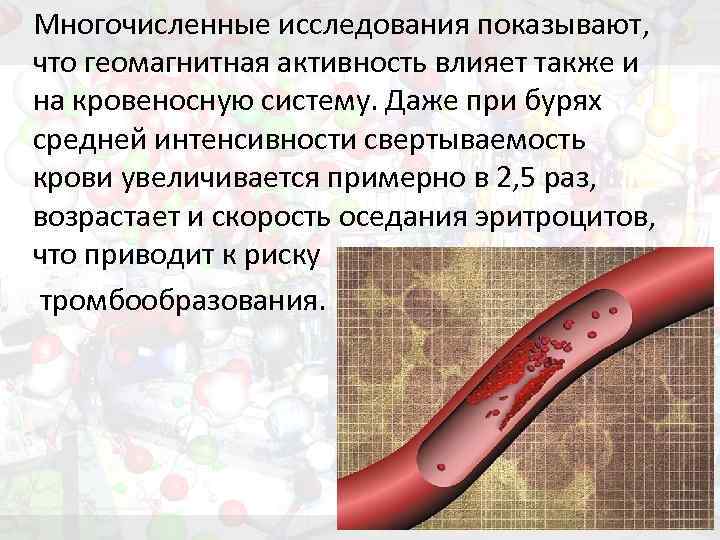 Многочисленные исследования показывают, что геомагнитная активность влияет также и на кровеносную систему. Даже при