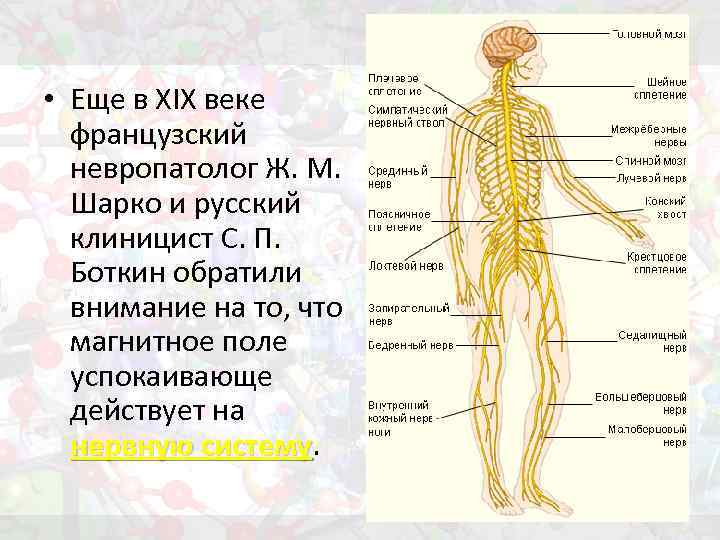  • Еще в ХIХ веке французский невропатолог Ж. М. Шарко и русский клиницист
