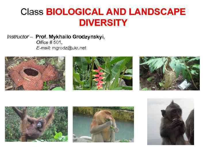 Class BIOLOGICAL AND LANDSCAPE DIVERSITY Instructor – Prof. Mykhailo Grodzynskyi, Office # 501, E-mail: