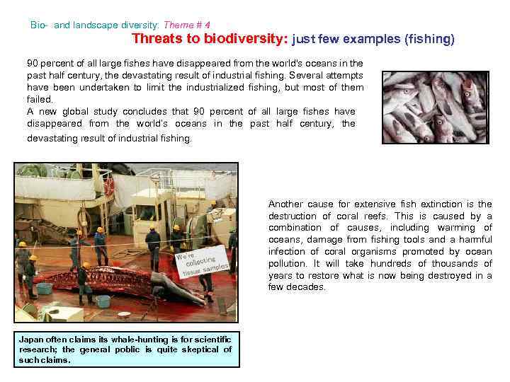 Bio- and landscape diversity: Theme # 4 Threats to biodiversity: just few examples (fishing)