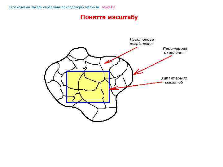 Геоекологічні засади управління природокористуванням: Tема # 2 Поняття масштабу 