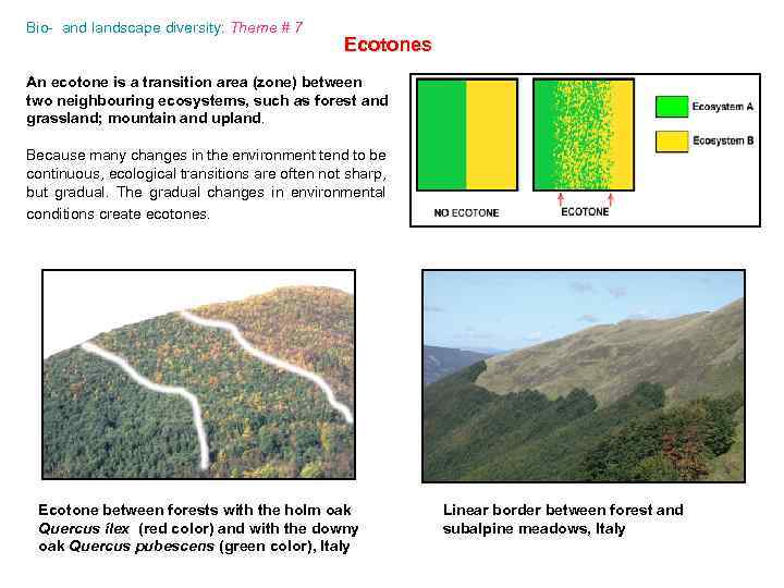 Bio- and landscape diversity: Theme # 7 Ecotones An ecotone is a transition area