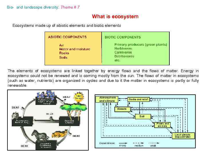 Bio- and landscape diversity: Theme # 7 What is ecosystem Ecosystems made up of