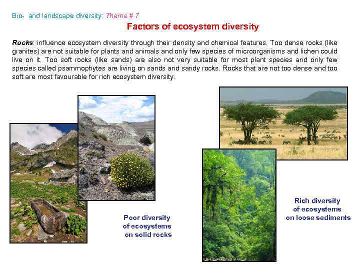 Bio- and landscape diversity Theme 7 Theme