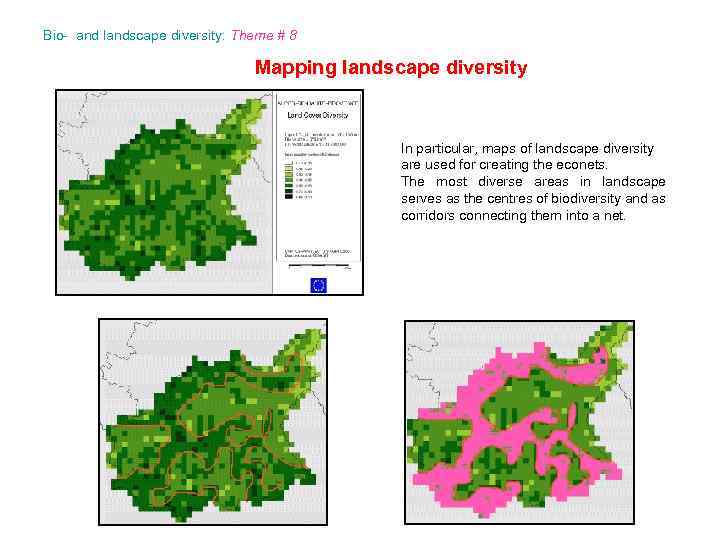 Bio- and landscape diversity: Theme # 8 Mapping landscape diversity In particular, maps of