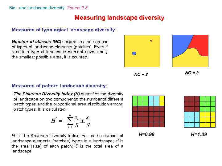 Bio- and landscape diversity: Theme # 8 Measuring landscape diversity Measures of typological landscape