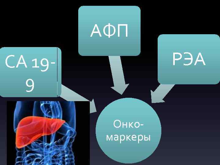 АФП РЭА СА 199 Онкомаркеры 