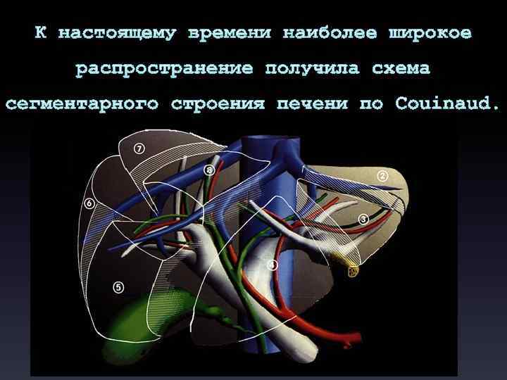 К настоящему времени наиболее широкое распространение получила схема сегментарного строения печени по Couinaud. 