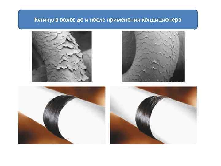 Кутикула волос до и после применения кондиционера 