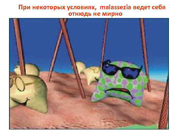 При некоторых условиях, malassezia ведет себя отнюдь не мирно 