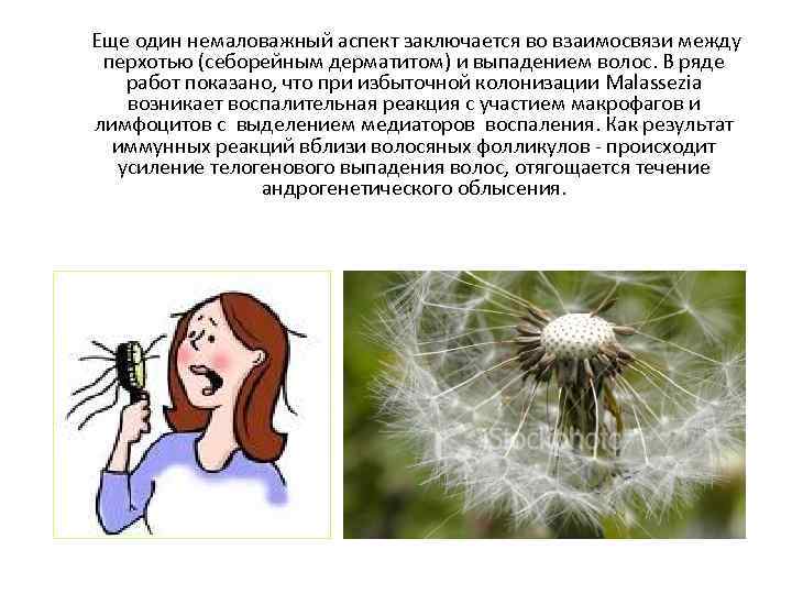  Еще один немаловажный аспект заключается во взаимосвязи между перхотью (себорейным дерматитом) и выпадением