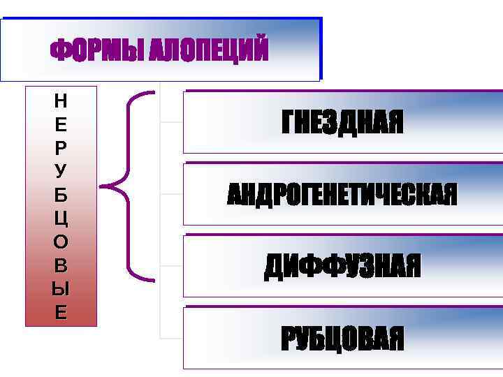 ФОРМЫ АЛОПЕЦИЙ Н Е Р У Б Ц О В Ы Е ГНЕЗДНАЯ АНДРОГЕНЕТИЧЕСКАЯ