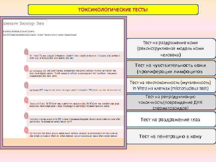 ТОКСИКОЛОГИЧЕСКИЕ ТЕСТЫ Тест на раздражение кожи (реконструктивная модель кожи человека) Тест на чувствительность кожи