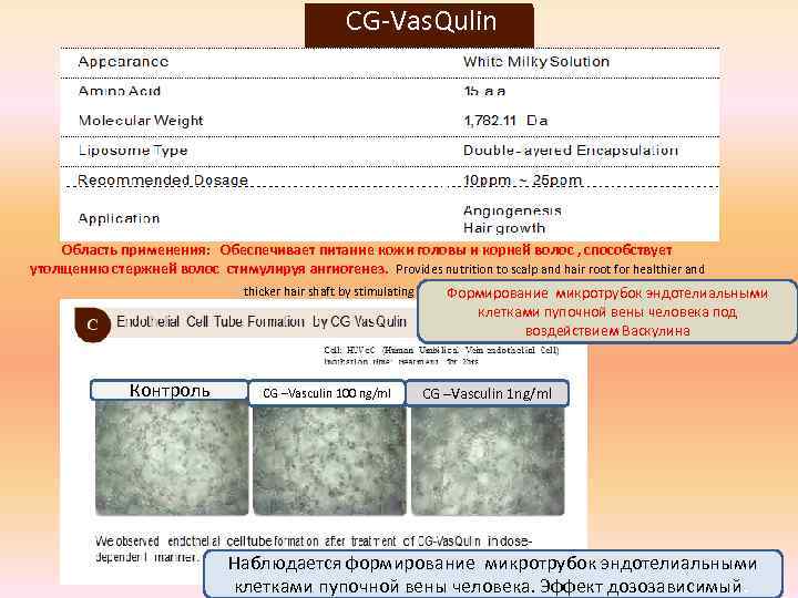  CG-Vas. Qulin Область применения: Обеспечивает питание кожи головы и корней волос , способствует