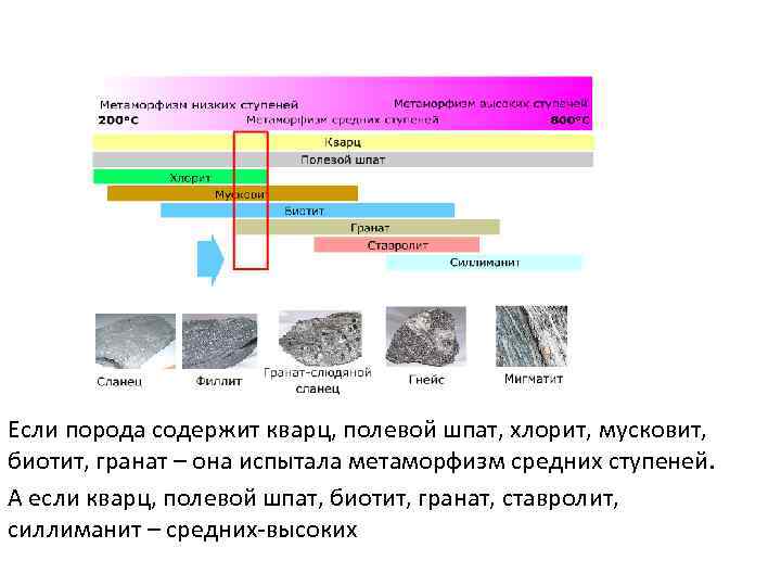 Если порода содержит кварц, полевой шпат, хлорит, мусковит, биотит, гранат – она испытала метаморфизм