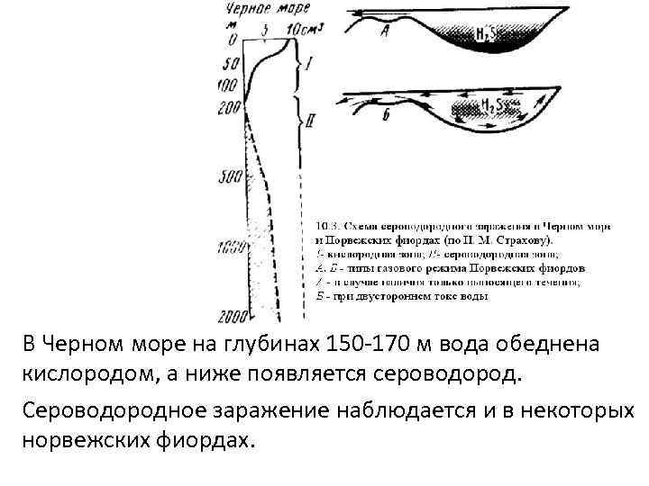 Черное море сероводород на глубине. Чёрное море сероводородный слой глубина. Черное море сероводородный слой карта. Сероводородная зона черного моря глубина. Сероводород в черном море схема.