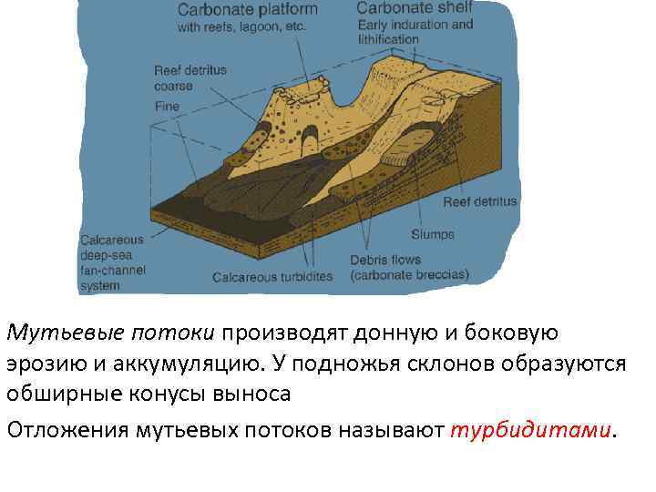 Мутьевые потоки производят донную и боковую эрозию и аккумуляцию. У подножья склонов образуются обширные