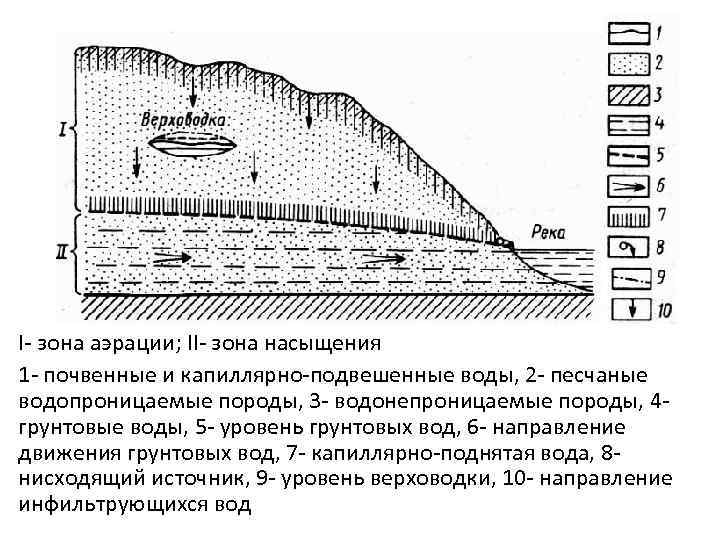 I- зона аэрации; II- зона насыщения 1 - почвенные и капиллярно-подвешенные воды, 2 -