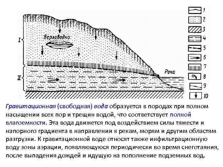 Гравитационная (свободная) вода образуется в породах при полном насыщении всех пор и трещин водой,