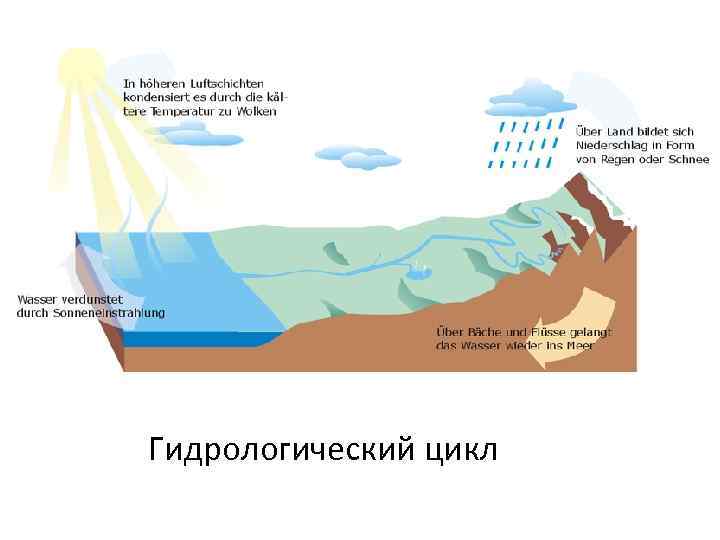 Гидрологический цикл 