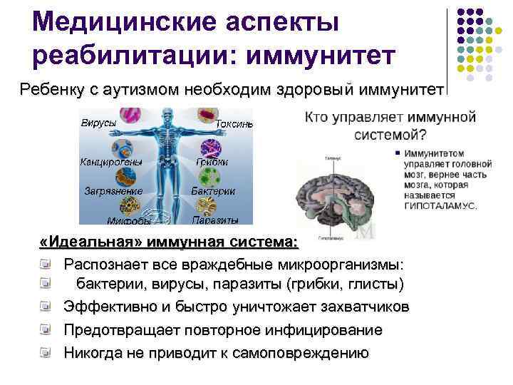 Медицинские аспекты реабилитации: иммунитет Ребенку с аутизмом необходим здоровый иммунитет «Идеальная» иммунная система: Распознает