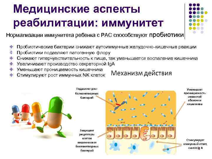 Медицинские аспекты реабилитации: иммунитет Нормализации иммунитета ребенка с РАС способствуют пробиотики Пробиотические бактерии снижают