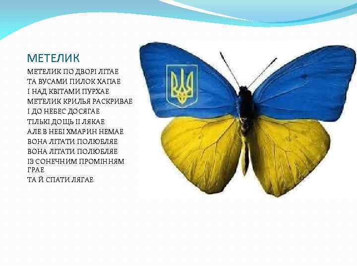 МЕТЕЛИК ПО ДВОРІ ЛІТАЕ ТА ВУСАМИ ПИЛОК ХАПАЕ І НАД КВІТАМИ ПУРХАЕ МЕТЕЛИК КРИЛЬЯ