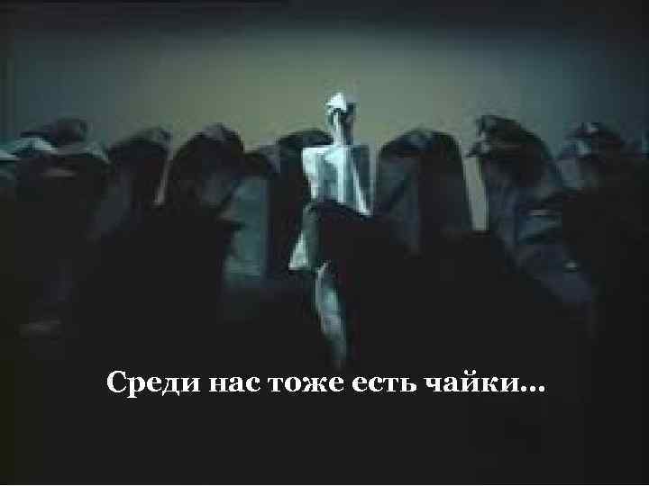 Среди нас тоже есть чайки… 