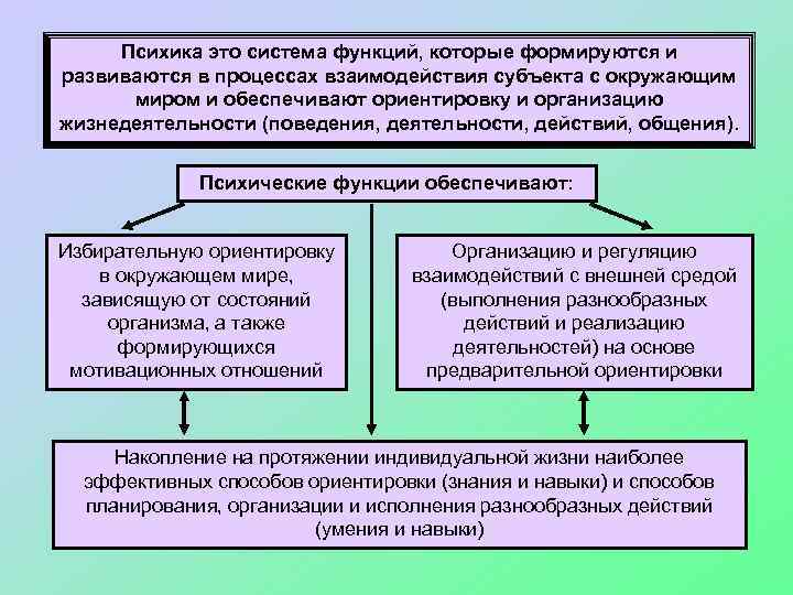 Психика это система функций, которые формируются и развиваются в процессах взаимодействия субъекта с окружающим