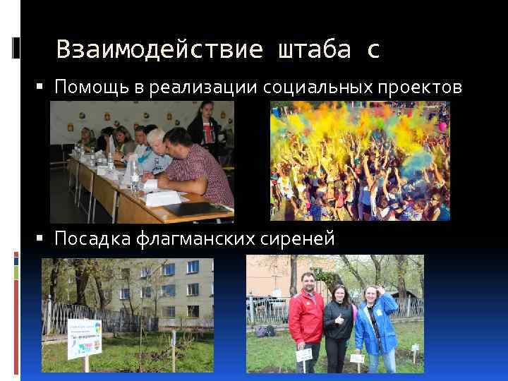 Взаимодействие штаба с Помощь в реализации социальных проектов Посадка флагманских сиреней 