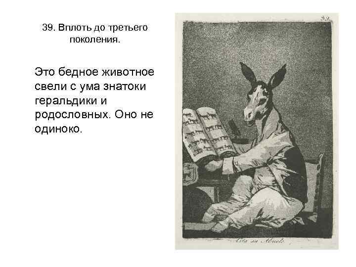 39. Вплоть до третьего поколения. Это бедное животное свели с ума знатоки геральдики и