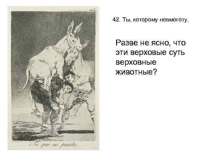 42. Ты, которому невмоготу. Разве не ясно, что эти верховые суть верховные животные? 