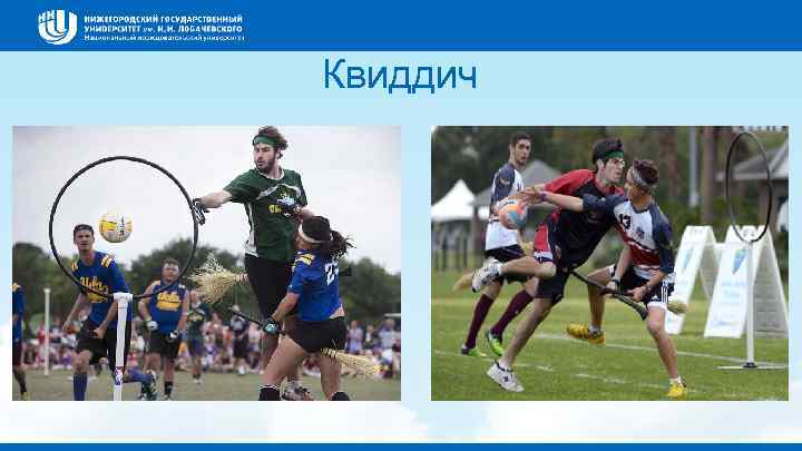 Квиддич 