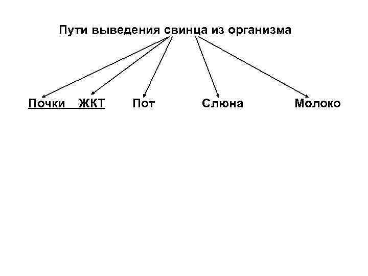 Пути выведения свинца из организма Почки ЖКТ Пот Слюна Молоко 