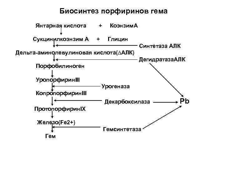 Схема синтеза гема из порфобилиногена