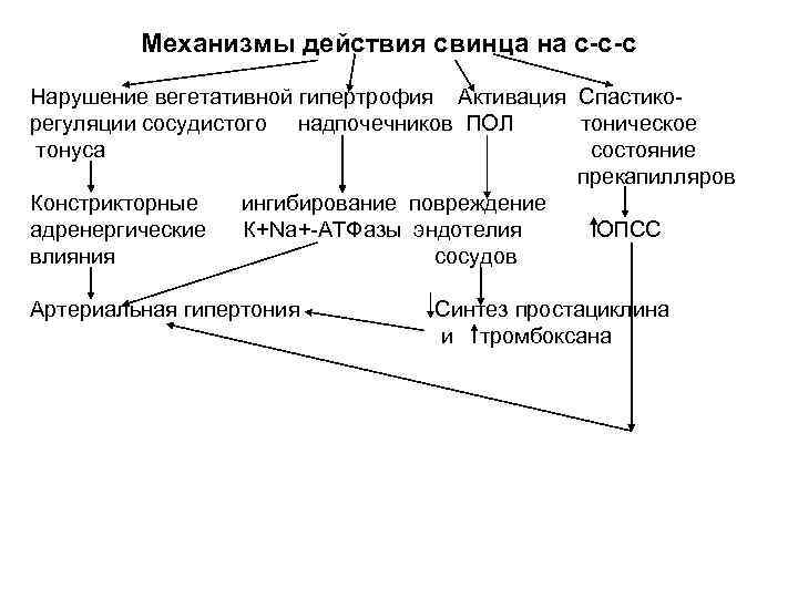 Механизмы действия свинца на с-с-с Нарушение вегетативной гипертрофия Активация Спастикорегуляции сосудистого надпочечников ПОЛ тоническое
