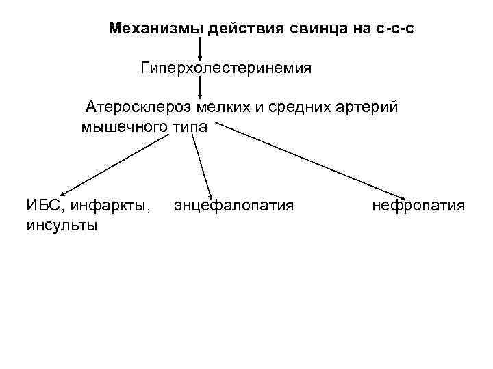 Механизмы действия свинца на с-с-с Гиперхолестеринемия Атеросклероз мелких и средних артерий мышечного типа ИБС,