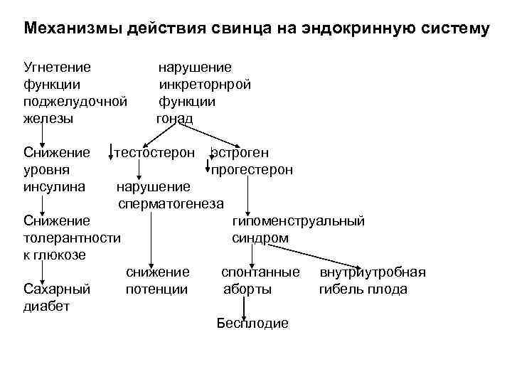 Механизмы действия свинца на эндокринную систему Угнетение функции поджелудочной железы Снижение уровня инсулина нарушение