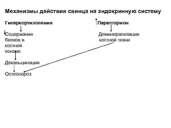 Механизмы действия свинца на эндокринную систему Гиперкортизолемия Паратгормон Содержания белков в костной основе Деминерализация
